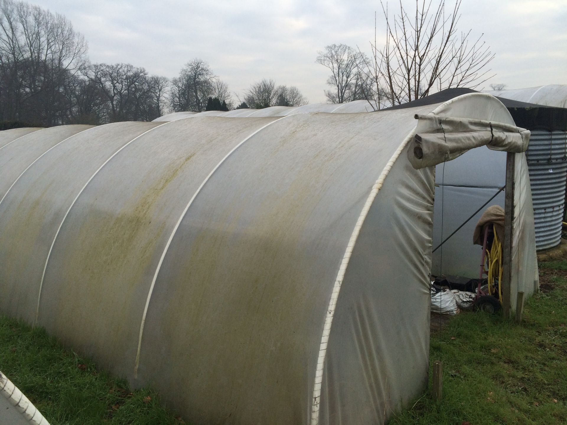 13x65ft Poly Tunnel - BUYER TO DISMANTLE & REMOVE - Image 2 of 4