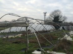 21x100 ft Poly Tunnel frame - BUYER TO DISMANTLE & REMOVE