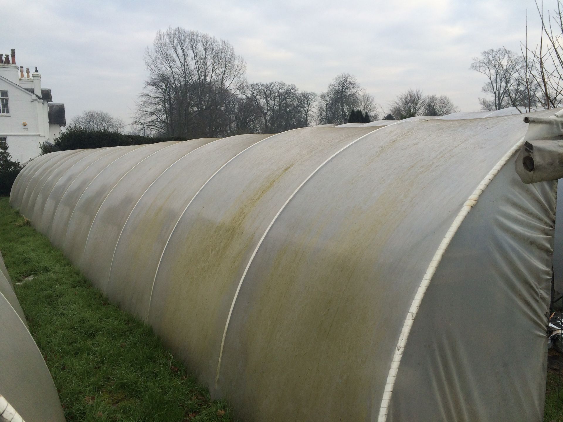 13x65ft Poly Tunnel - BUYER TO DISMANTLE & REMOVE