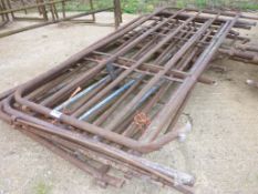 Quantity of tubular steel gates