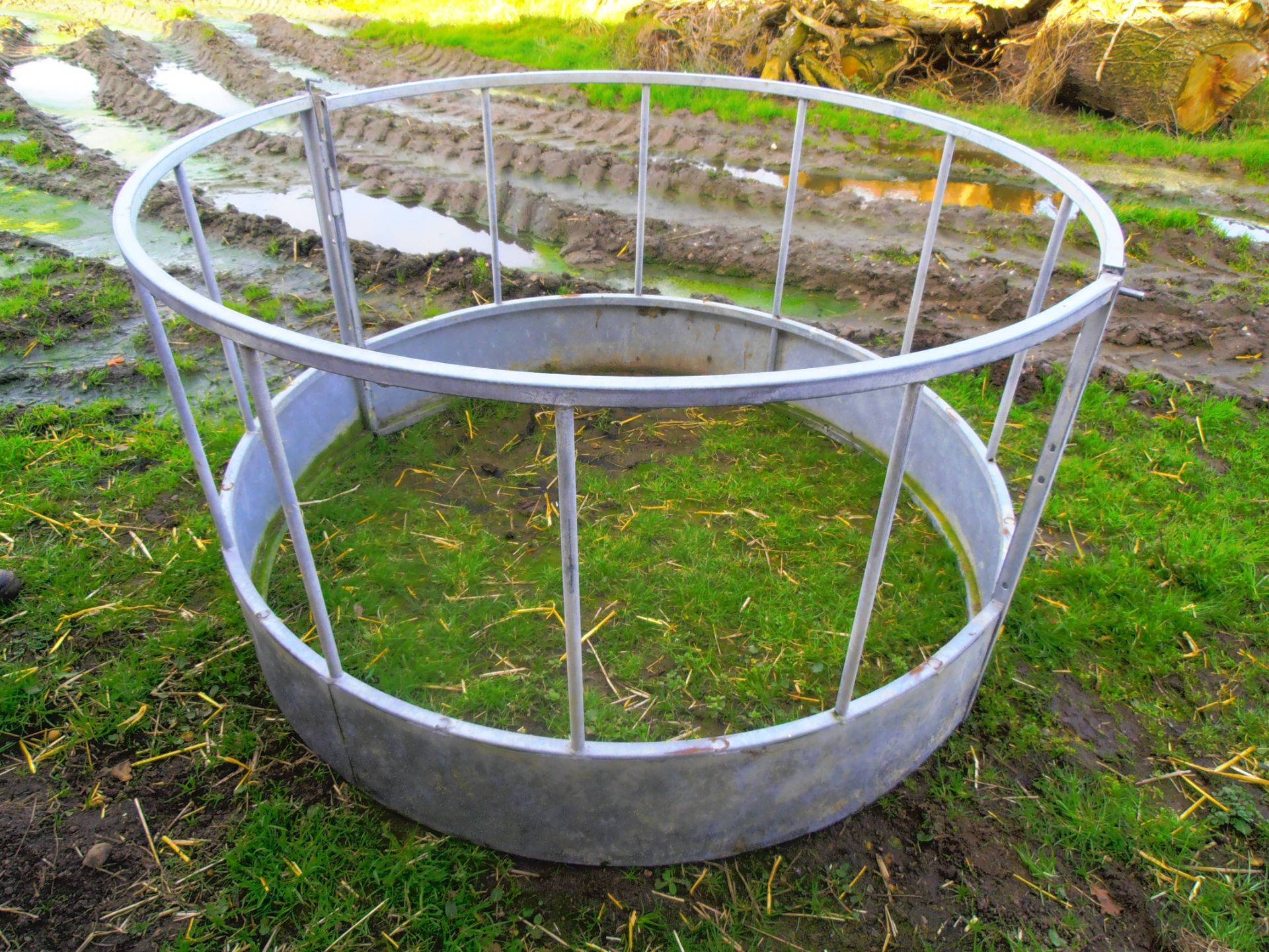 Calf Ring Feeder (No VAT)