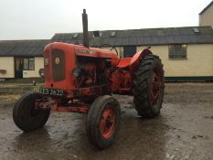 1966 Nuffield 10/60 2wd tractor.