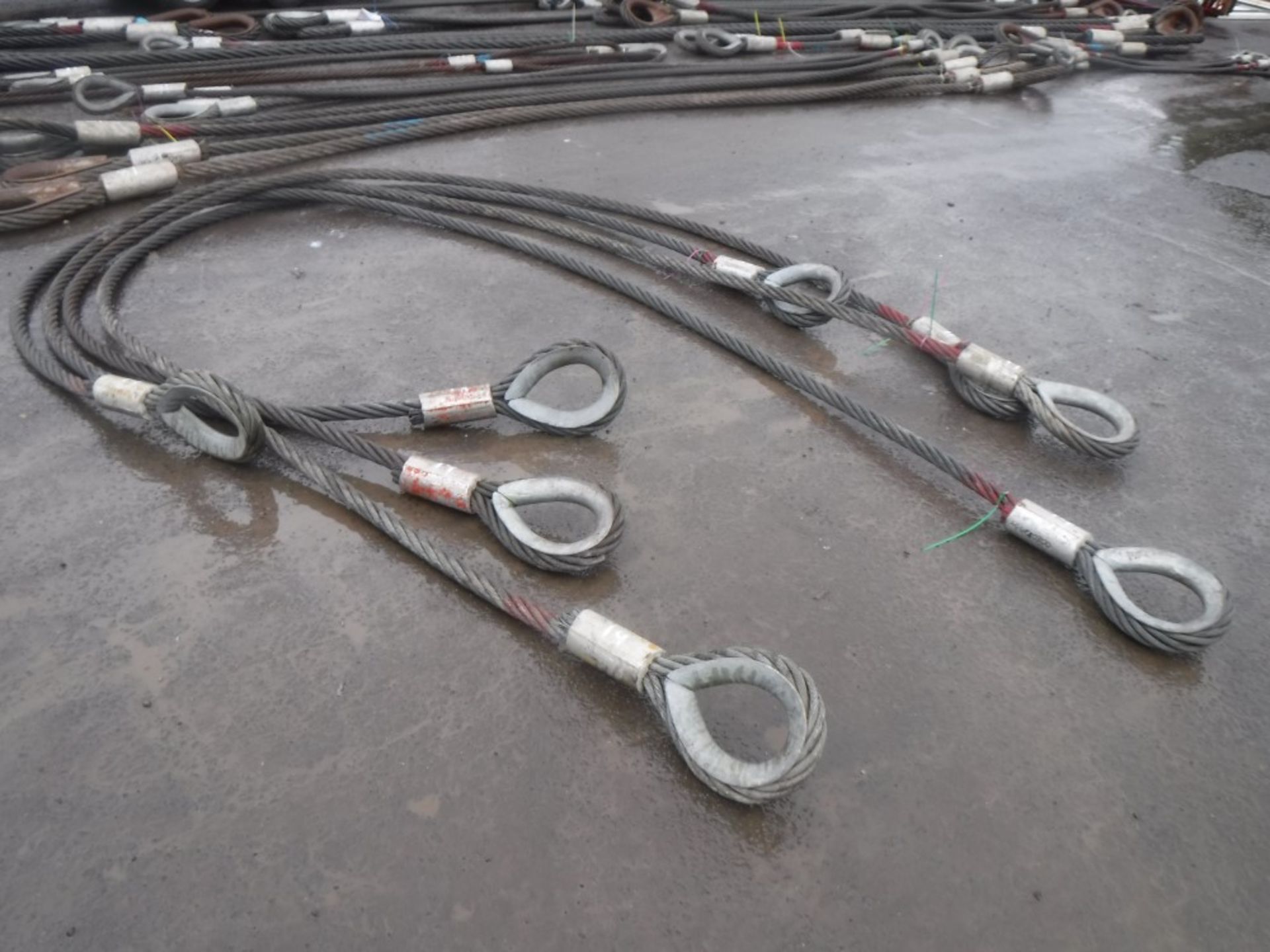 4 x 24.8t x 6.4m WIRE ROPE SLING [19] [+ VAT]