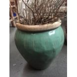 A green glazed plant pot 42cmH with a lavendar plant