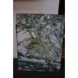 A selection of pictures and prints including a Wonnagatta Moroka National Park poster of a