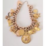 A 9ct gold rope twist charm bracelet, hung with twenty one charms, including animals,