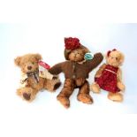 A selection of three teddy bears,