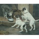 Acrylic on canvas of cat and two dogs,