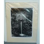 Local Interest: Lion Fountain - Stoke Abbott, black and white photograph, mounted,