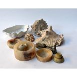 A mixed lot including two large shells and one smaller shell, a porcelain shell ashtray,