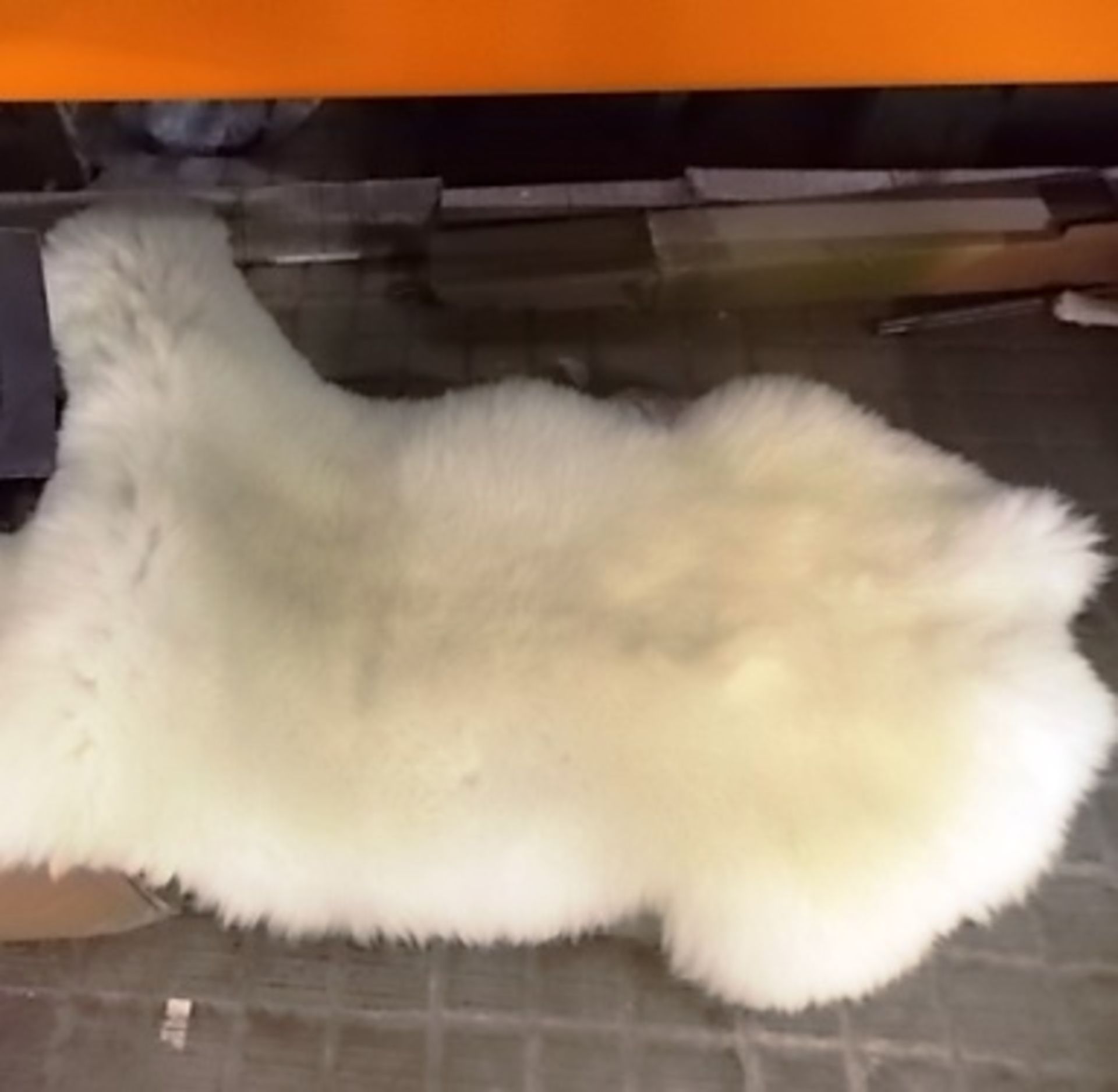1 x Cream coloured sheep pelt, approx 4ft x 2.5ft - New