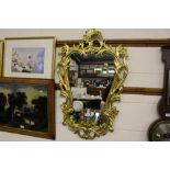 An ornate gilt framed wall mirror