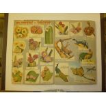 A box containing cigarette card albums; a scrap bo