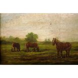 An English school oil on board study of horses