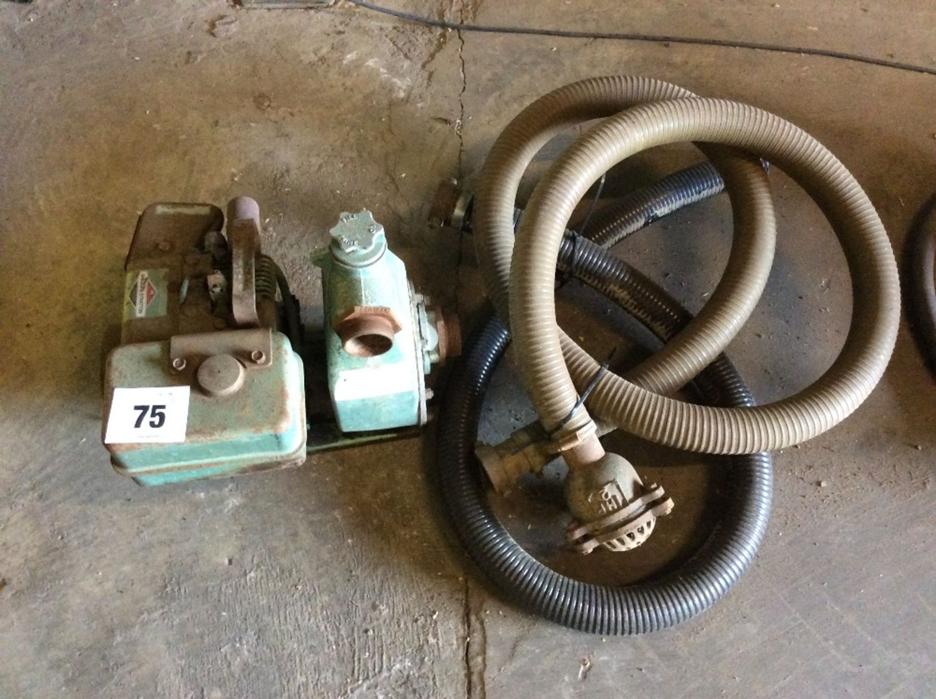 Briggs and Stratton powered water pump with hoses.