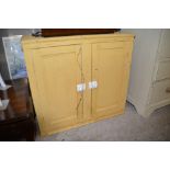 A painted two door cupboard