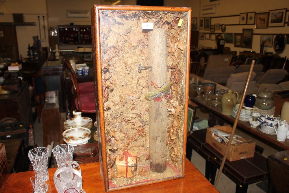 A framed and glazed taxidermy arrangement depicting a moth etc.