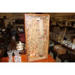 A framed and glazed taxidermy arrangement depicting a moth etc.