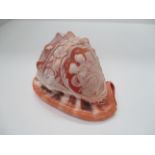A carved Cameo shell Cassis Rufa