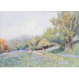 Willie Stephenson, 'Bluebell Wood', water colour, signed,