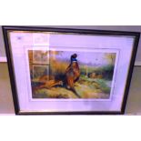 Archibald Thorburn a framed Ltd Edition print of a male and female pheasants at a woods edge 32 x