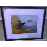 Archibald Thorburn a framed print of a grouse taking off 27 x 36cm published by William Marler