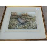 Simon Trinder, signed watercolour of an English partridge,