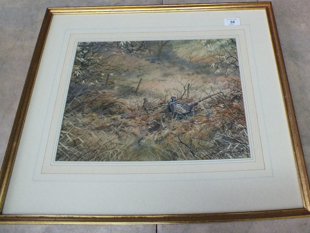 Simon Trinder, signed watercolour of two pheasants,