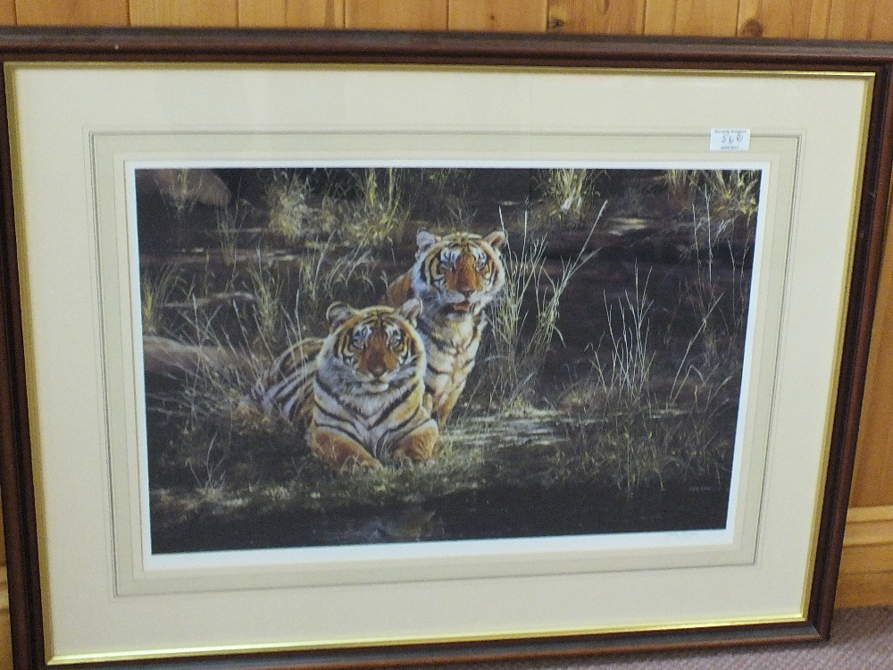 A framed photo of wildcats plus a Steve Burgess limited edition print of tigers