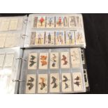 Two modern albums of cigarette cards