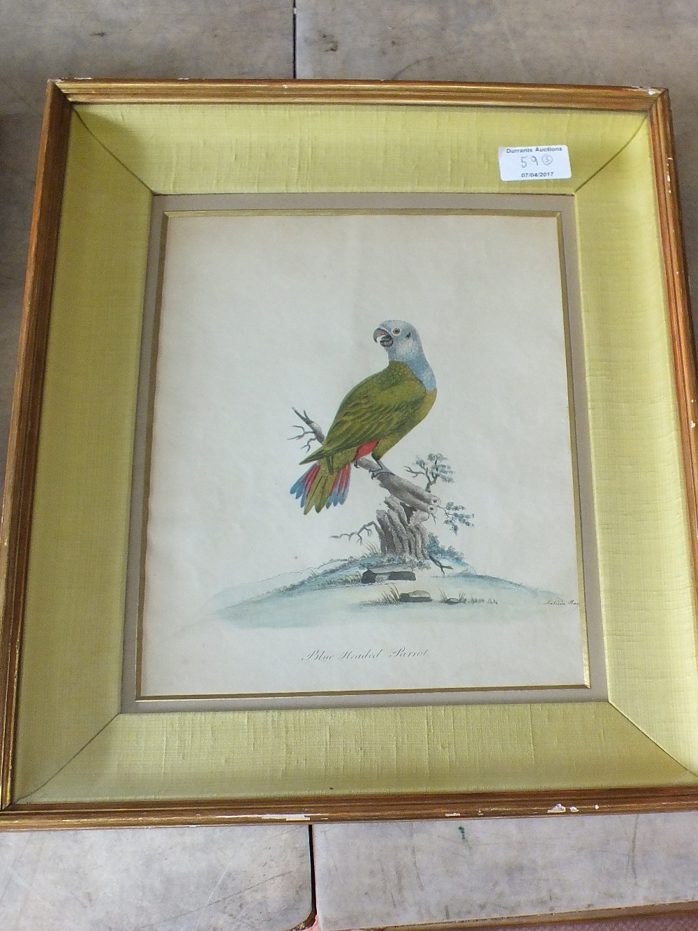 Matilda Hayes, three hand coloured bird lithographs, one with printed John Gould & H. - Image 2 of 3