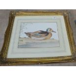 Three gilt framed bird prints plus two photo landscape prints