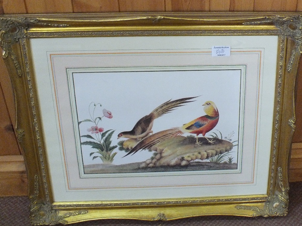 Three gilt framed bird prints plus two photo landscape prints - Image 4 of 4