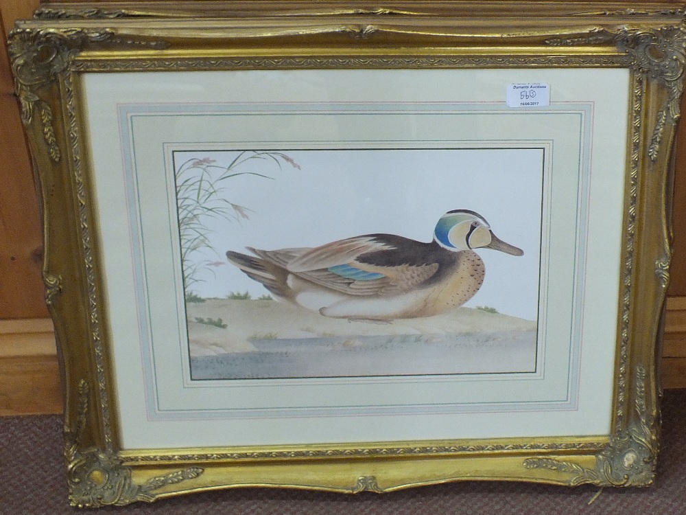 Three gilt framed bird prints plus two photo landscape prints - Image 2 of 4