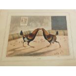 A set of four unframed 19th Century coloured cockfighting prints After Alken by R.E.