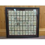 Two framed cigarette card sets,