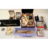 A quantity of costume jewellery including brooches, necklaces,