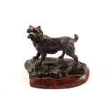 A 19th Century bronze of a rough coated dog,