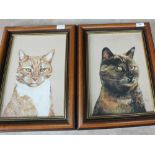 A pair of signed watercolours of ginger cats,