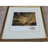 A signed Richard Robjent print 'Woodcock with Chick' with watercolour vignette,