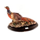 A Capo Di Monte limited edition cock pheasant,