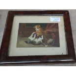 A pair of mahogany framed cat prints