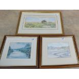 Dianne Branscombe watercolour of a broadland scene with sheep plus two prints