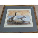 A Willoughby-King watercolour of two geese,