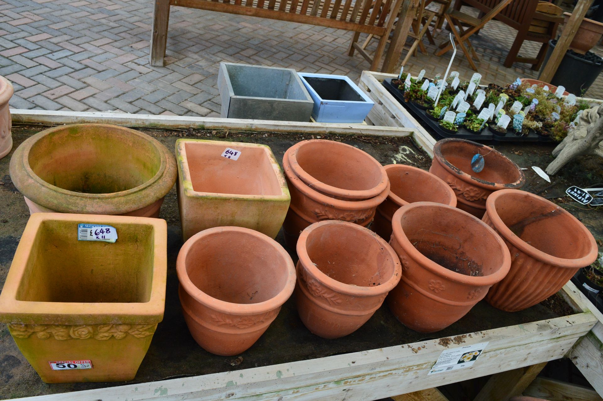 *Eleven Assorted Terracotta Planters