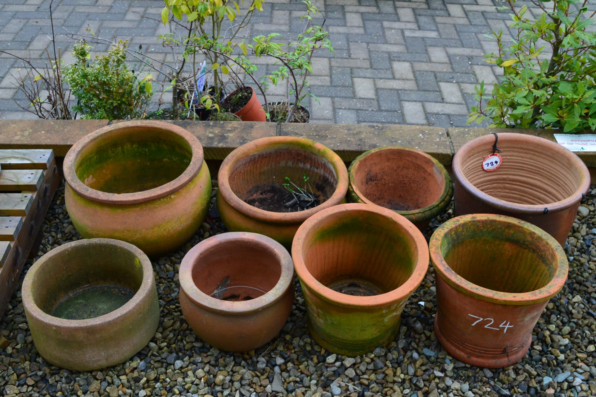 *Eight Assorted Plant Pots