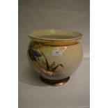 Large Pottery Jardiniere Painted with Kingfisher