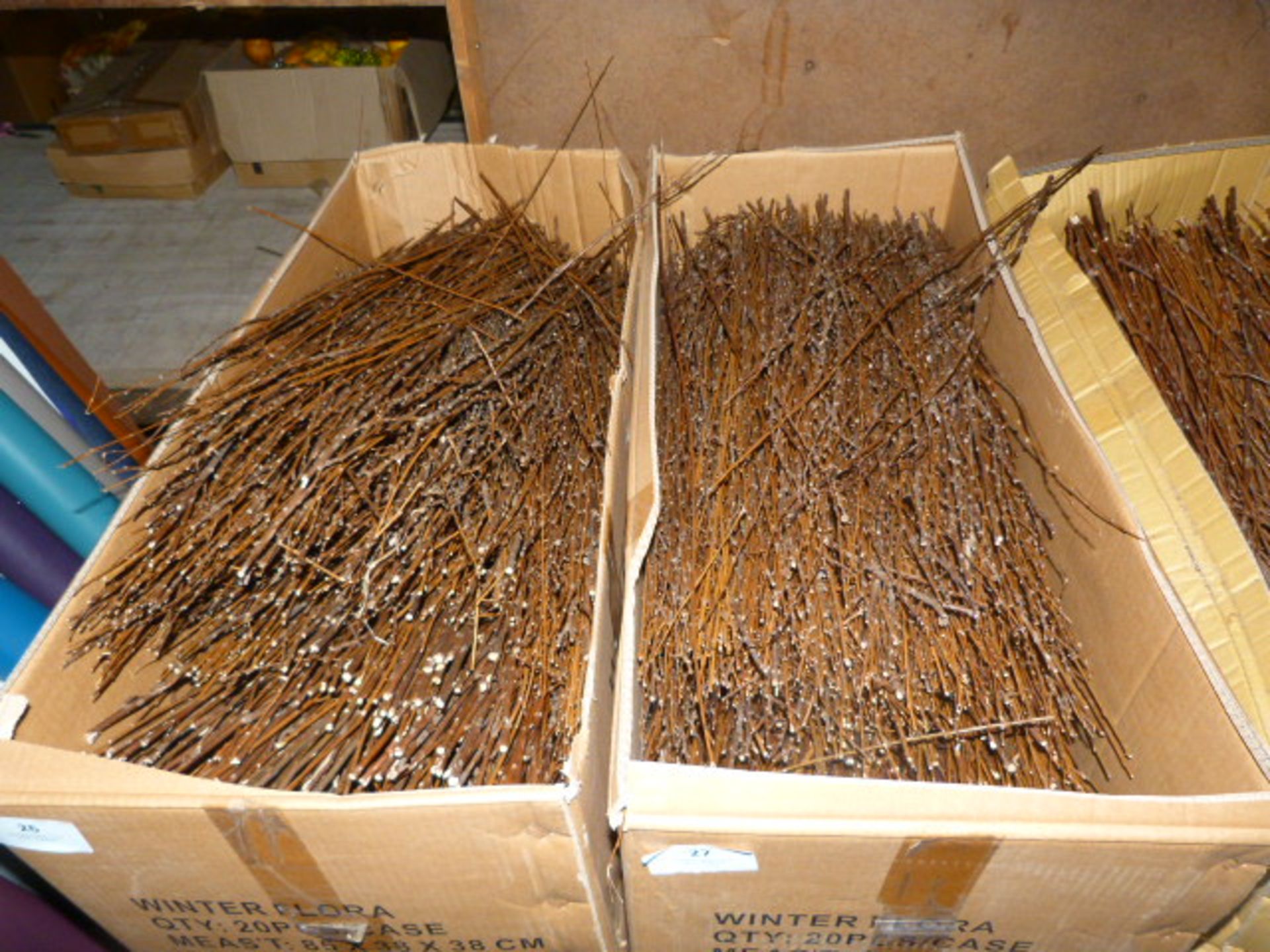 *Box Containing Assorted Loose Dried Willow