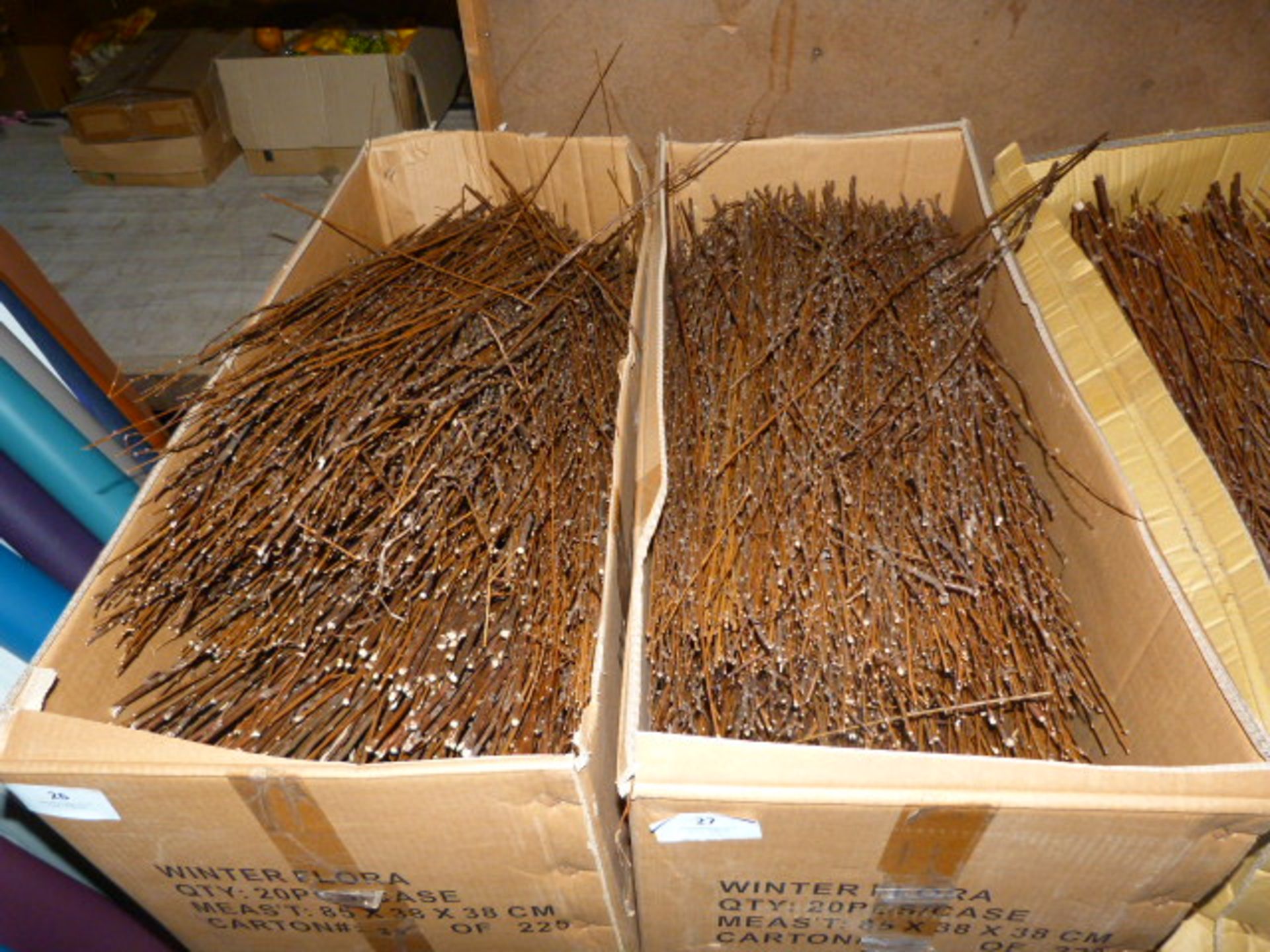 *Box Containing Assorted Loose Dried Willow