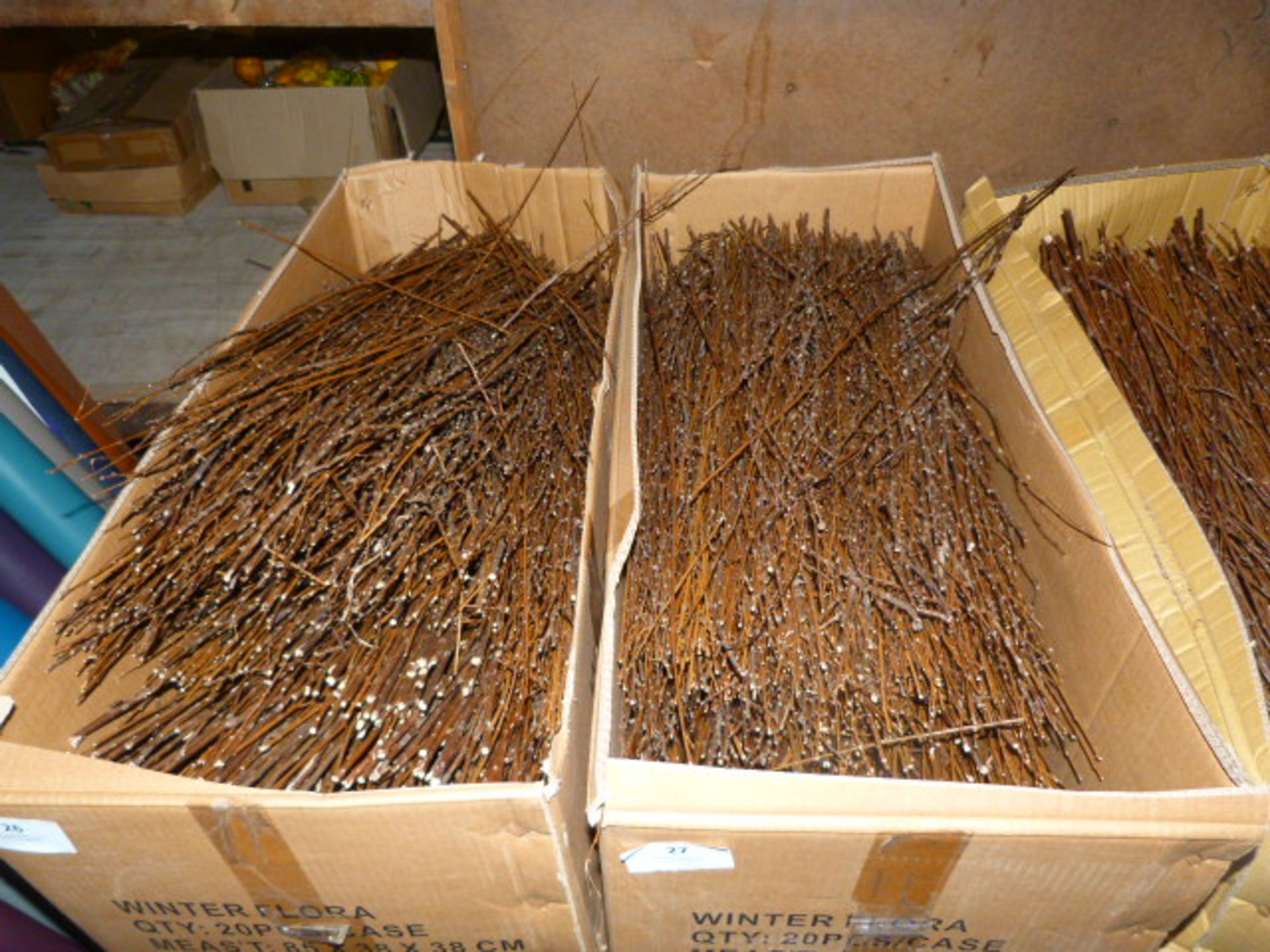 *Box Containing Assorted Loose Dried Willow